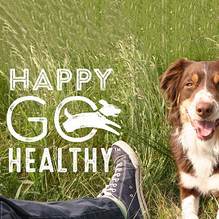 Spicefire Creates Direct-to-consumer Brand Happy Go Healthy